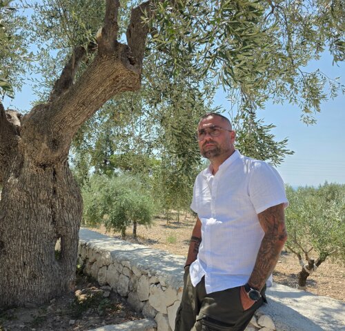 Vincenzo Cruciano im Olivenhain
